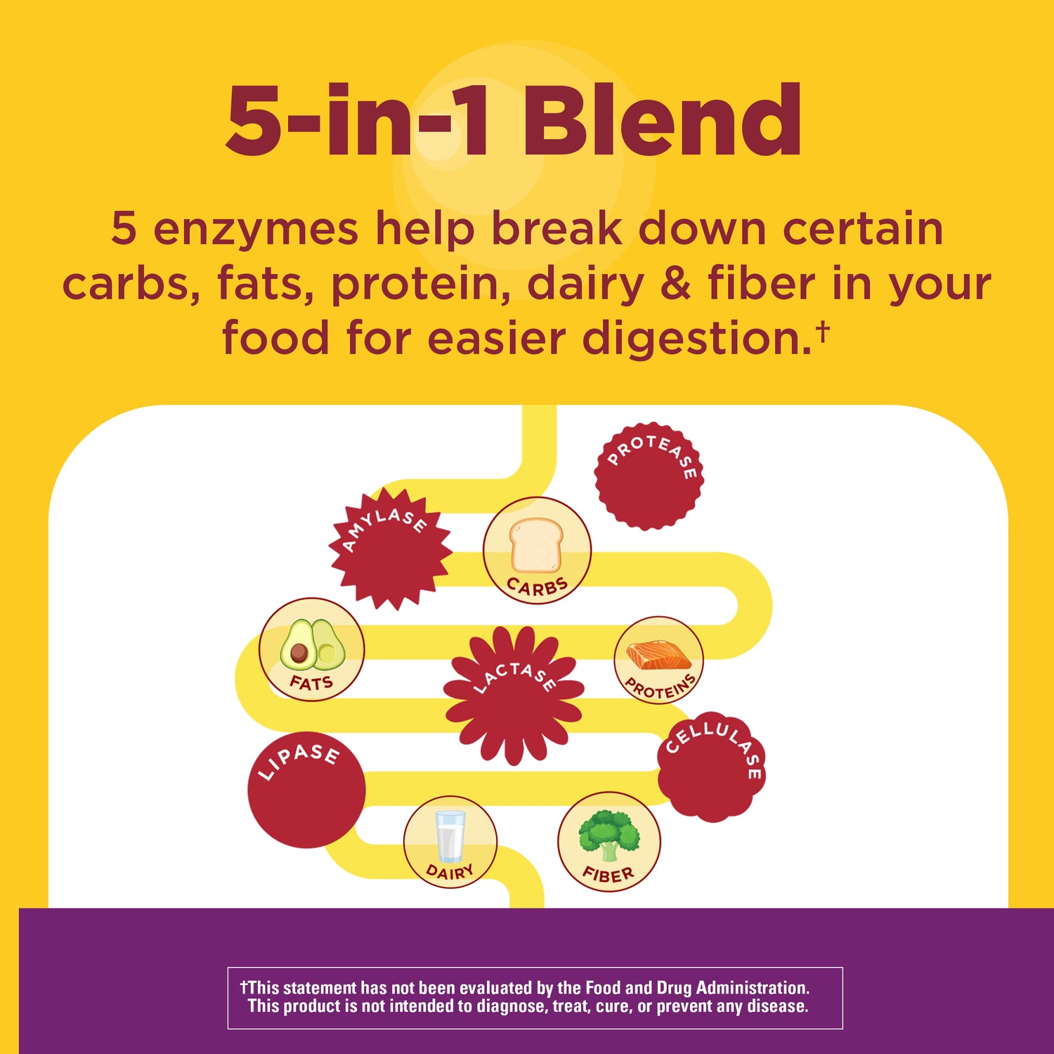 Digestive Enzymes 5-in-1 Blend Chewable Tablets | 5-in-1 Blend containing 5 enzymes for digestion on a yellow and purple background with an illustration of the digestion process.