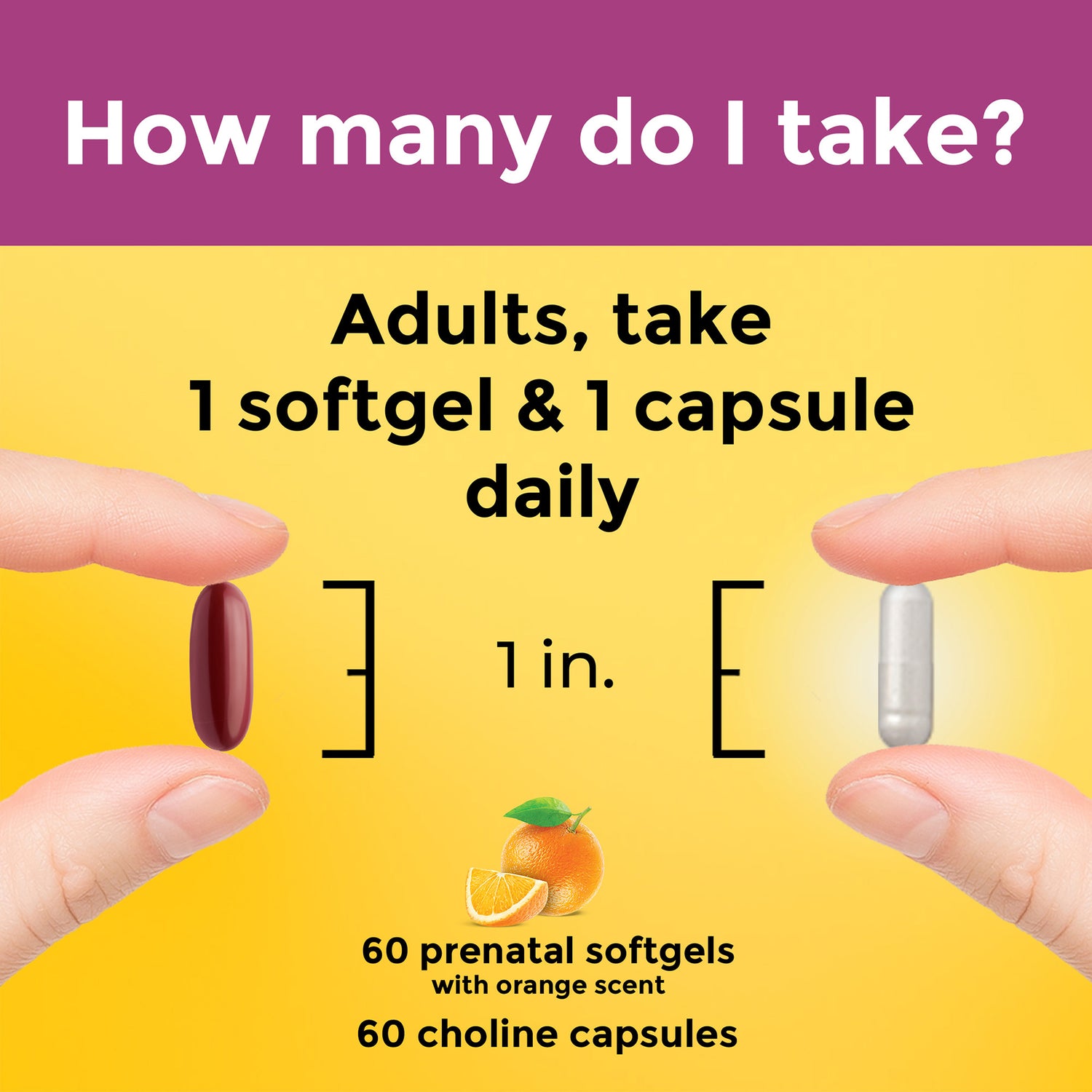 Prenatal Multivitamins + Choline Capsules | 