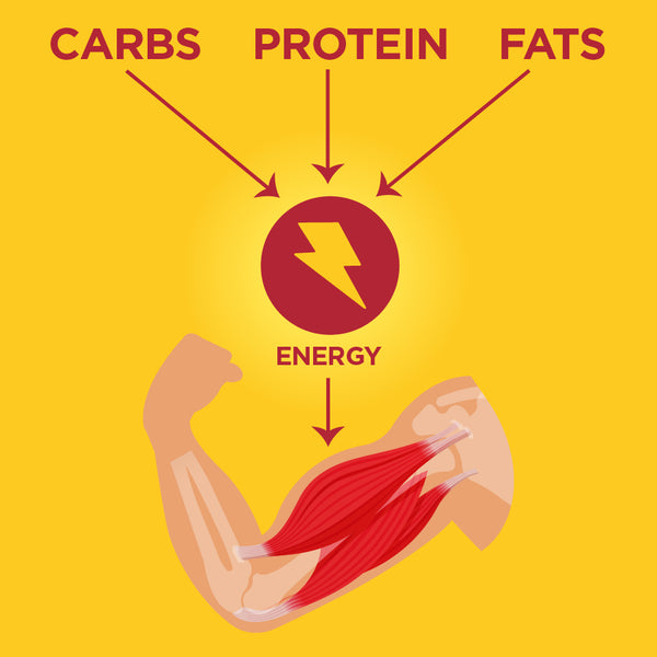 An educational vector diagram on a yellow background illustrating how carbs, protein, and fats provide energy. Red arrows point from the labels 'CARBS', 'PROTEIN', and 'FATS' to a central red circle with a yellow lightning bolt, labeled 'ENERGY', which points down to a flexed arm with highlighted red muscle fibers.