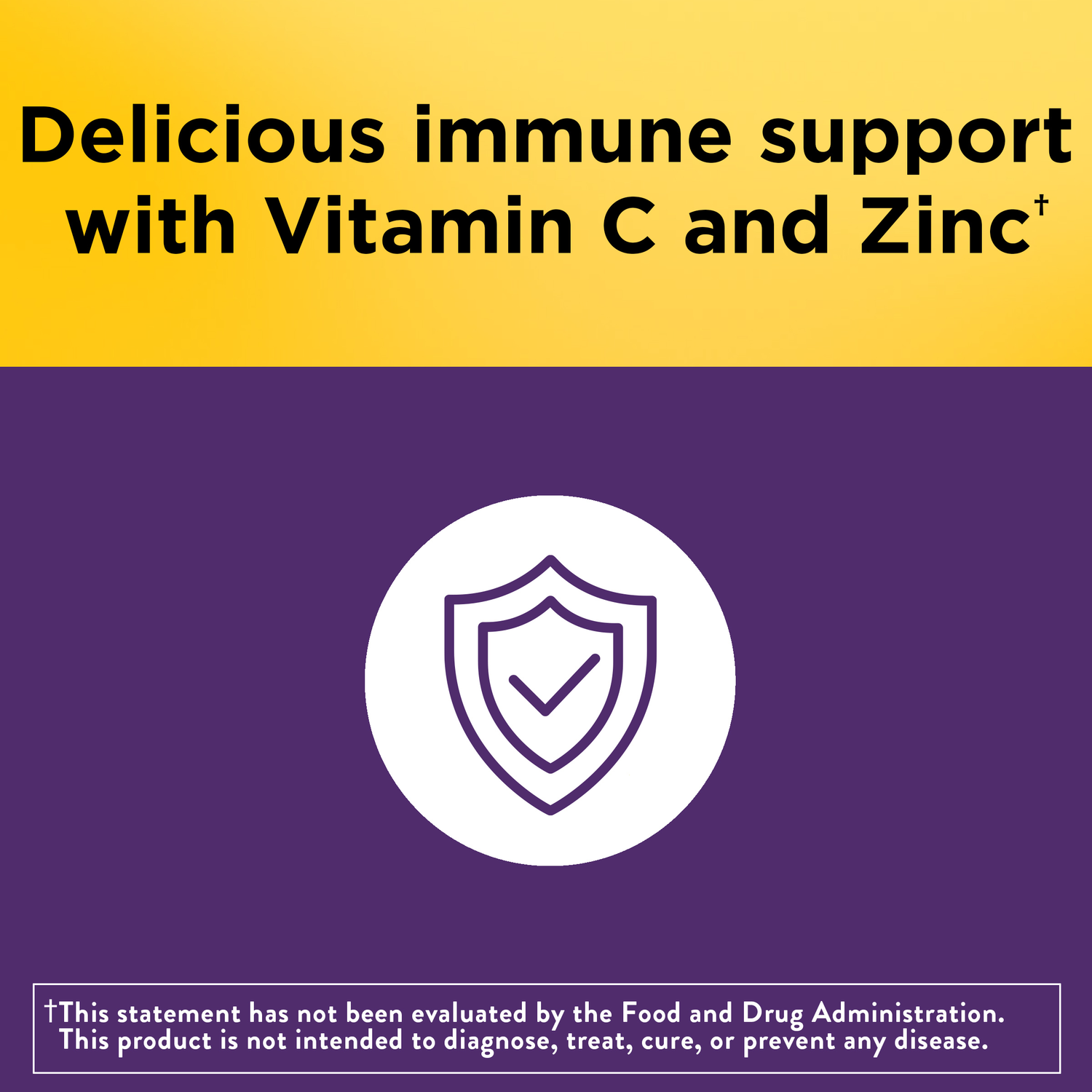Elderberry Capsules with Vitamin C and Zinc | 